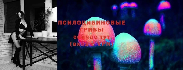 шишки Алзамай