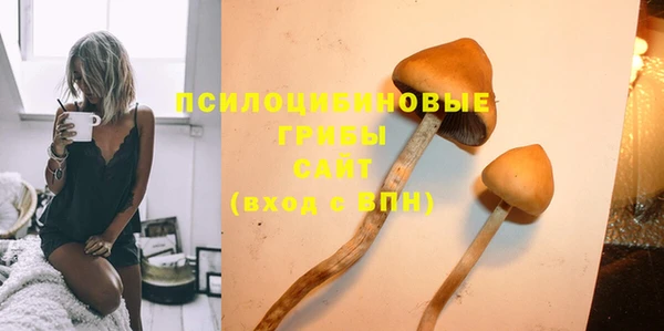 шишки Алзамай