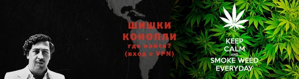 шишки Алзамай