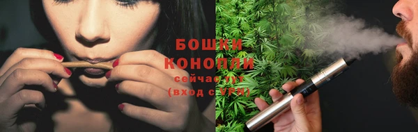 ПСИЛОЦИБИНОВЫЕ ГРИБЫ Алексеевка