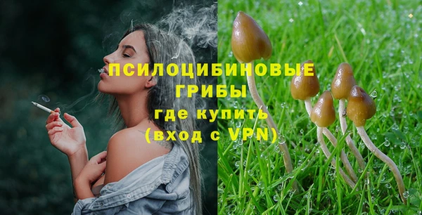ПСИЛОЦИБИНОВЫЕ ГРИБЫ Алексеевка