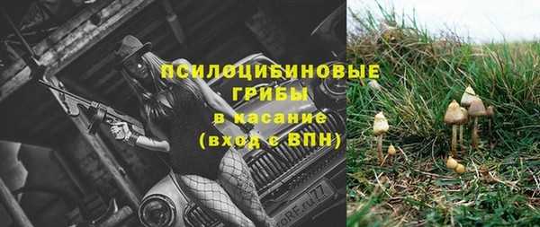 ПСИЛОЦИБИНОВЫЕ ГРИБЫ Алексеевка