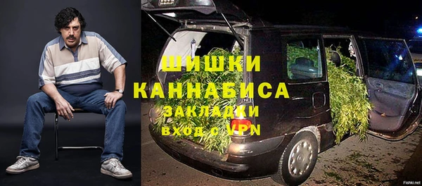 ПСИЛОЦИБИНОВЫЕ ГРИБЫ Алексеевка
