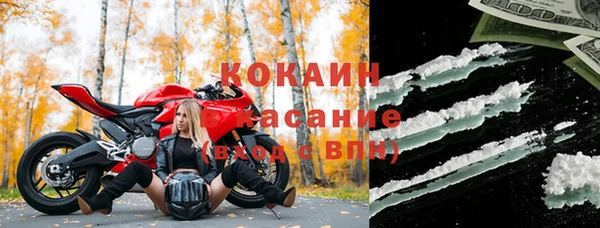 ПСИЛОЦИБИНОВЫЕ ГРИБЫ Алексеевка