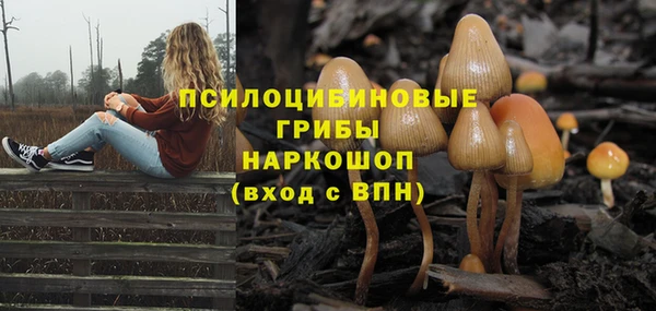 mdpv Алексин