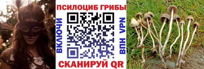 Псилоцибиновые грибы прущие грибы  сайты даркнета Telegram  Мичуринск 