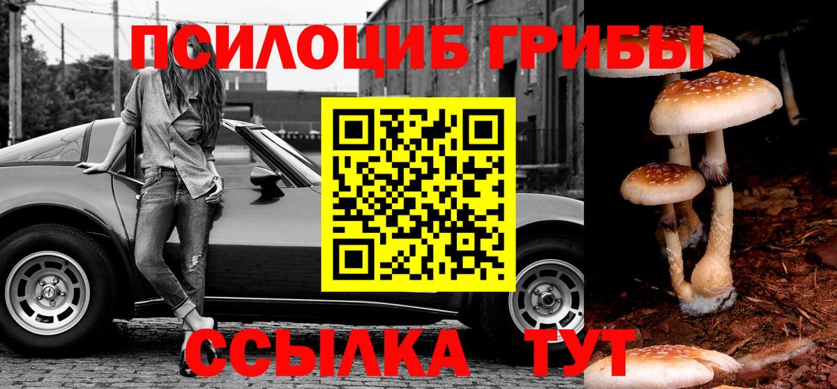 Мичуринск  Галлюциногенные грибы GOLDEN TEACHER  Вход с VPN 