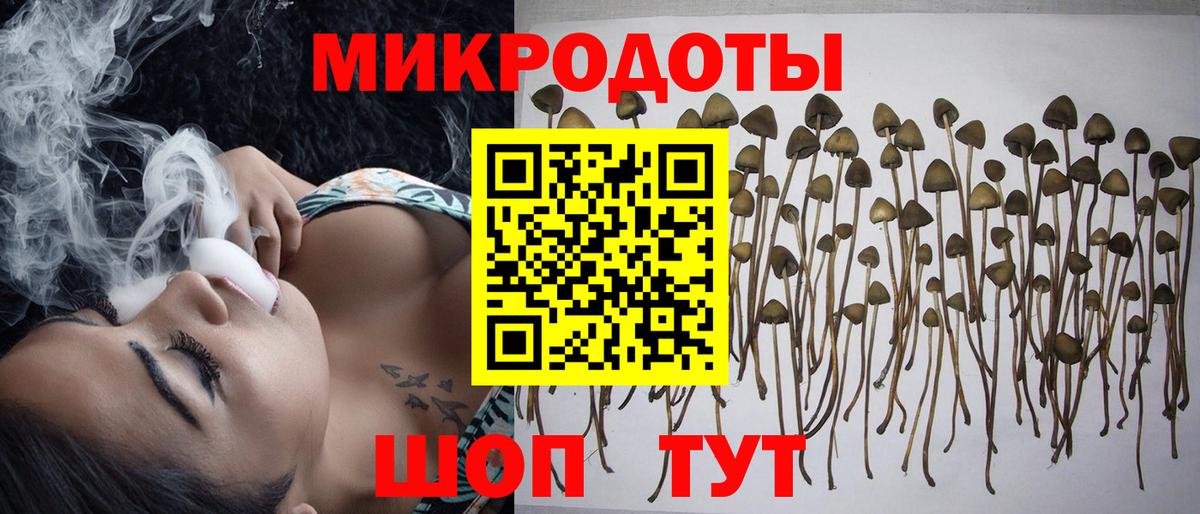Галлюциногенные грибы ЛСД Мичуринск